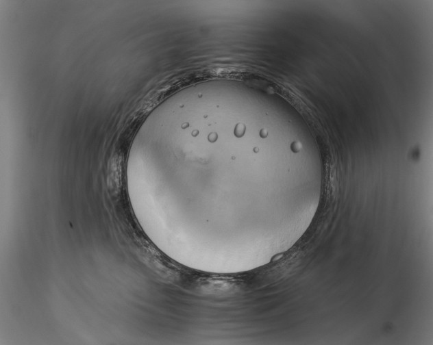 X0000116050475200912111508