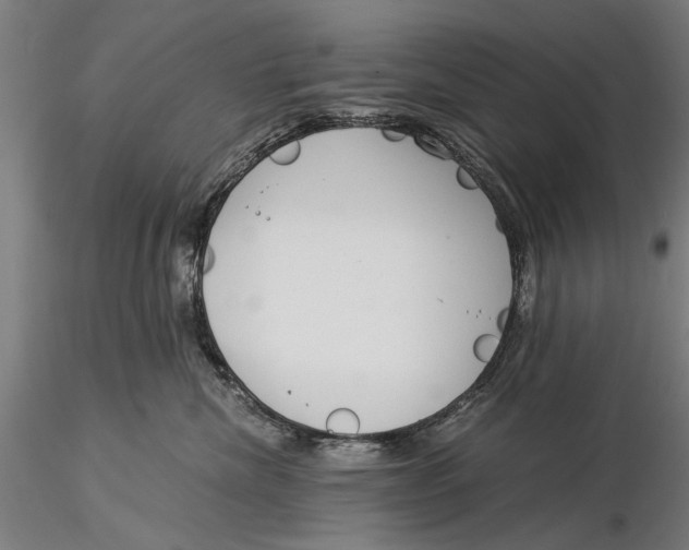 X0000116050476200912111508