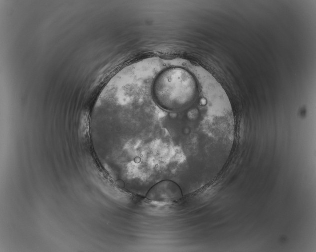 X0000116050478200912111508