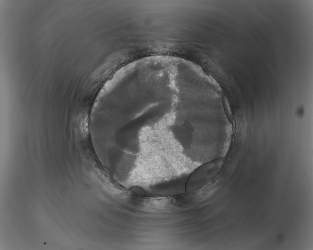X0000116050479200912111508