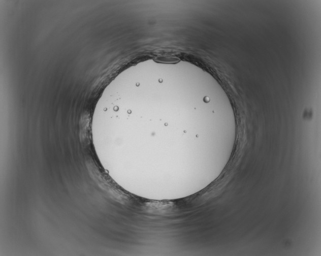 X0000116050480200912111508