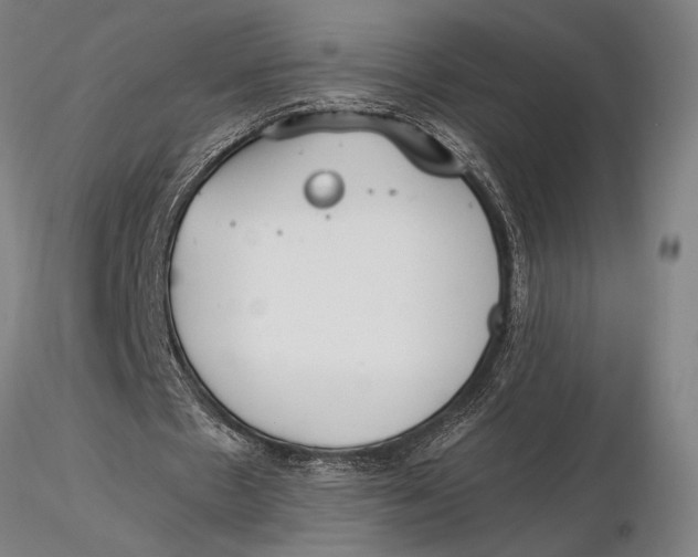 X0000116050481200912111508