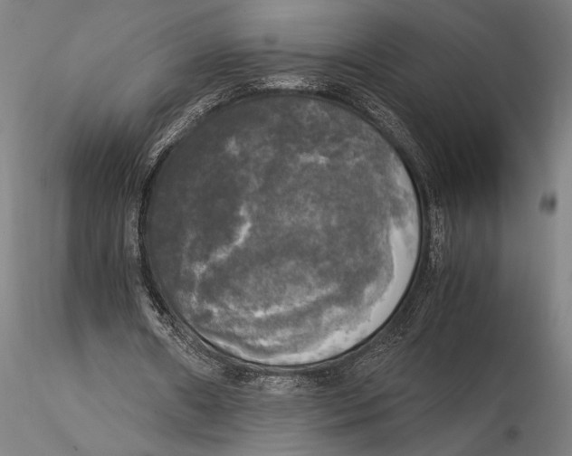 X0000116050482200912111508