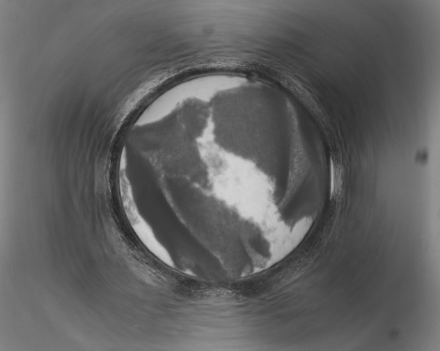 X0000116050483200912111507