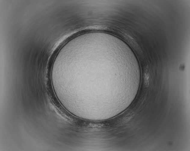 X0000116050484200912111507