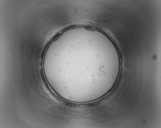 X0000116050485200912111507