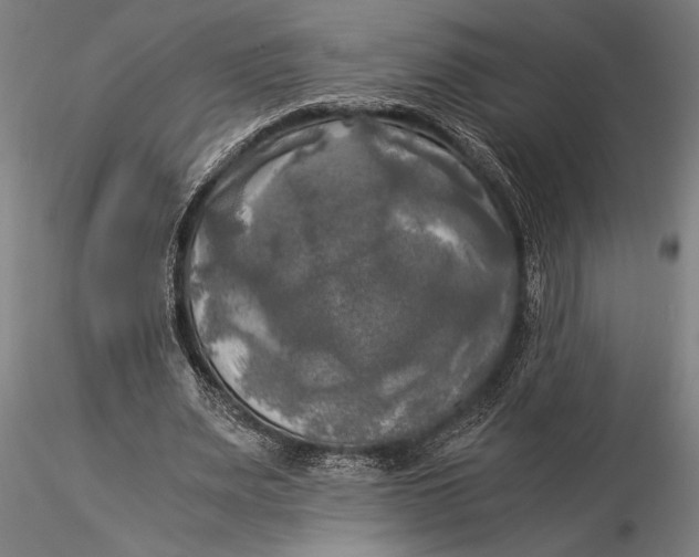 X0000116050487200912111507