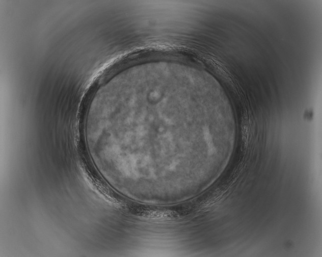 X0000116050488200912111507