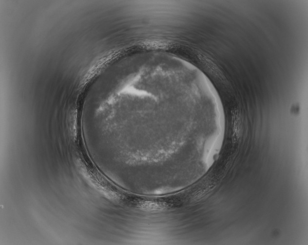 X0000116050494200912111507