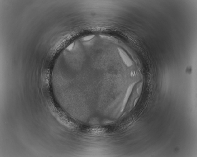 X0000116050495200912111507