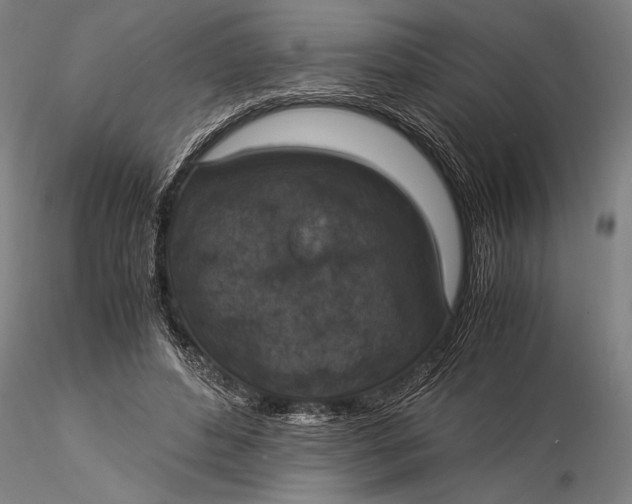 X0000116050496200912111507