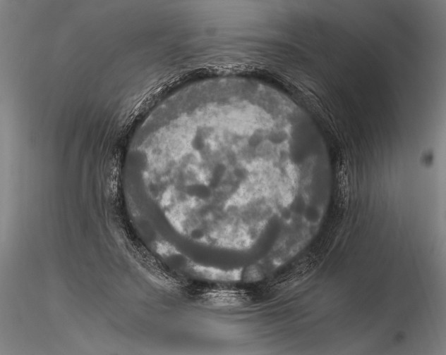 X0000116050499200912111507