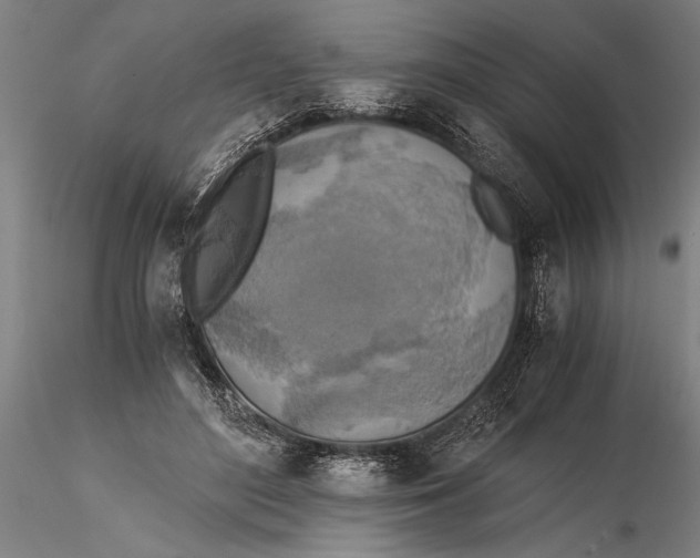 X0000116050500200912111507