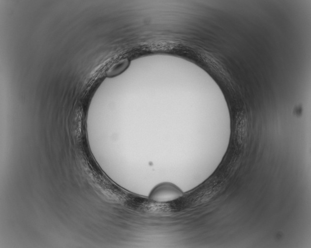 X0000116050501200912111507