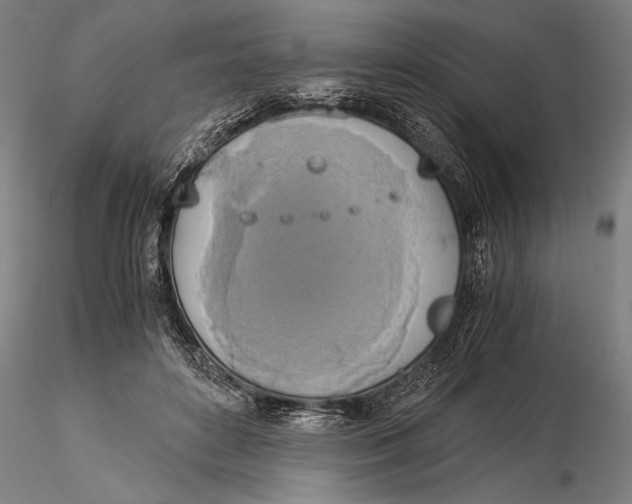 X0000116050504200912111507