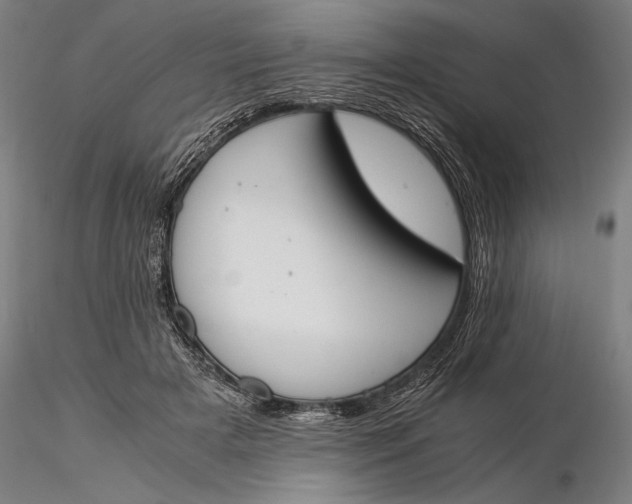 X0000116050505200912111507