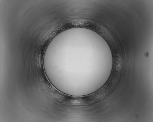 X0000116050510200912111507