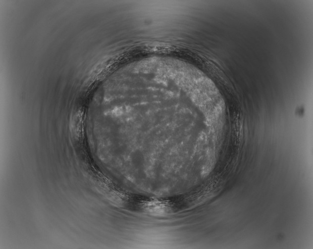 X0000116050511200912111507