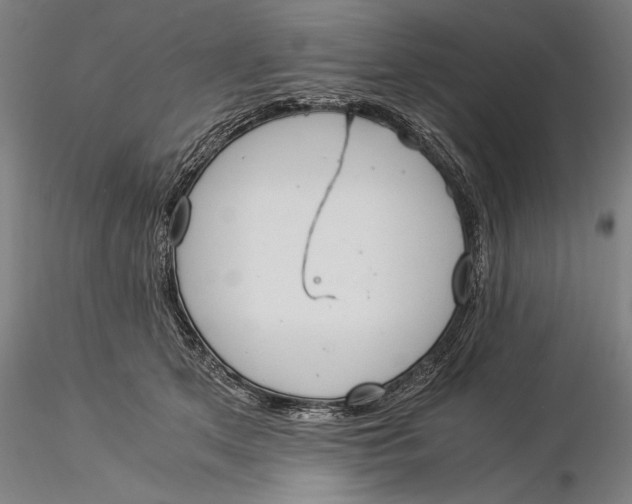 X0000116050513200912111507