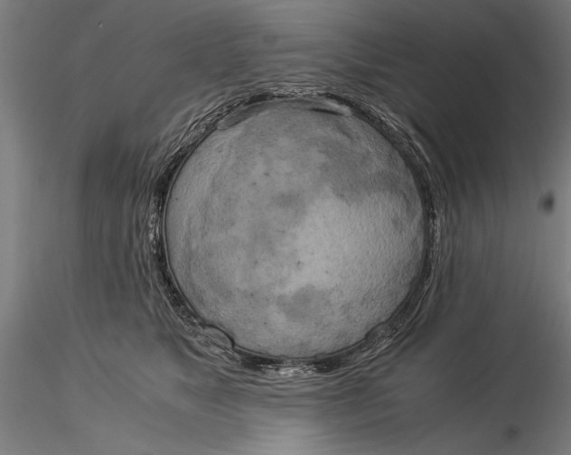 X0000116050517200912111507