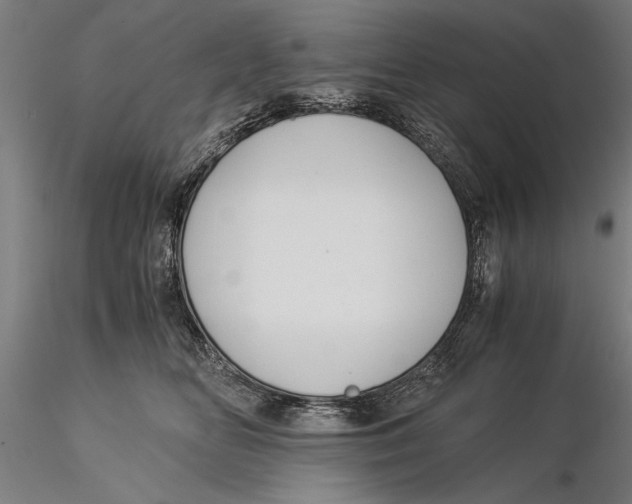 X0000116050518200912111507