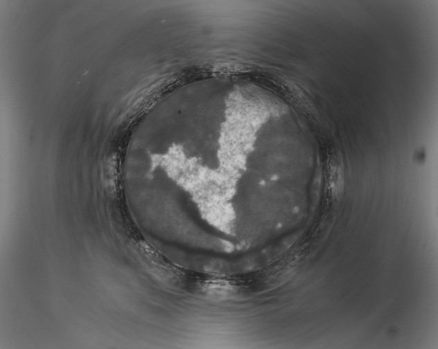 X0000116050519200912111507