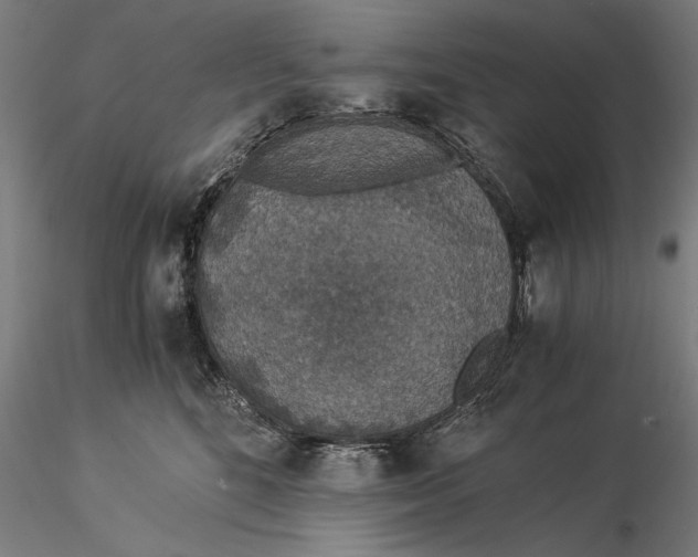 X0000116050520200912111507