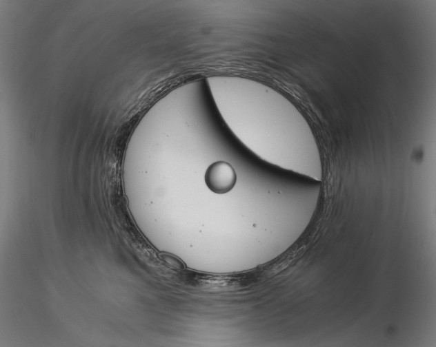 X0000116050521200912111507