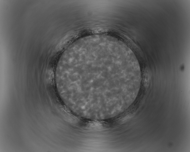 X0000116050523200912111507