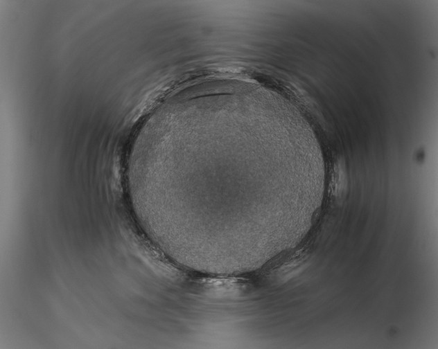 X0000116050524200912111507
