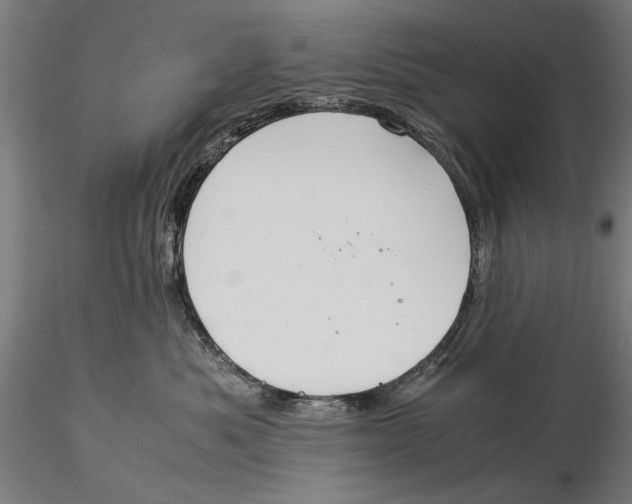 X0000116050525200912111507