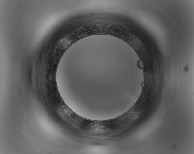 X0000116050526200912111507