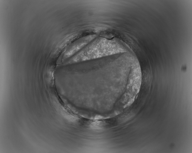 X0000116050527200912111507