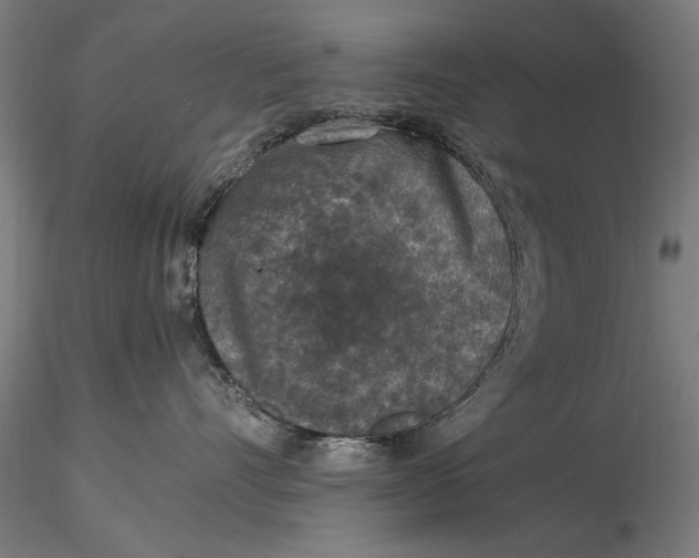 X0000116050528200912111507