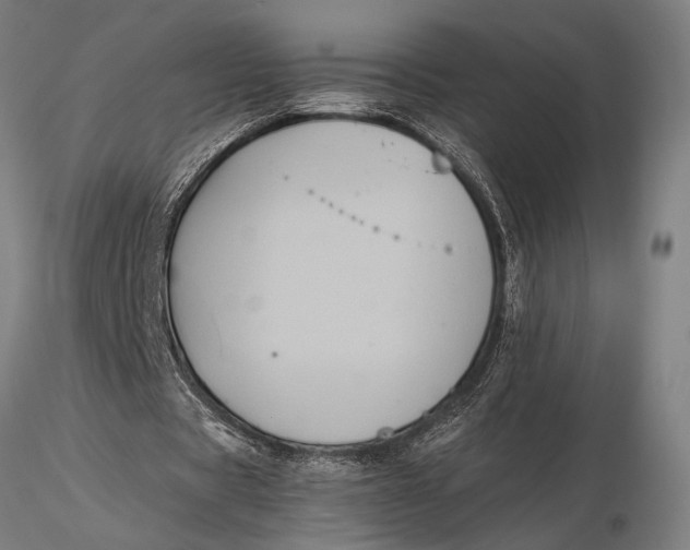 X0000116050529200912111506