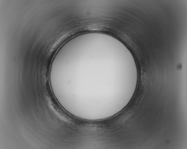 X0000116050530200912111506