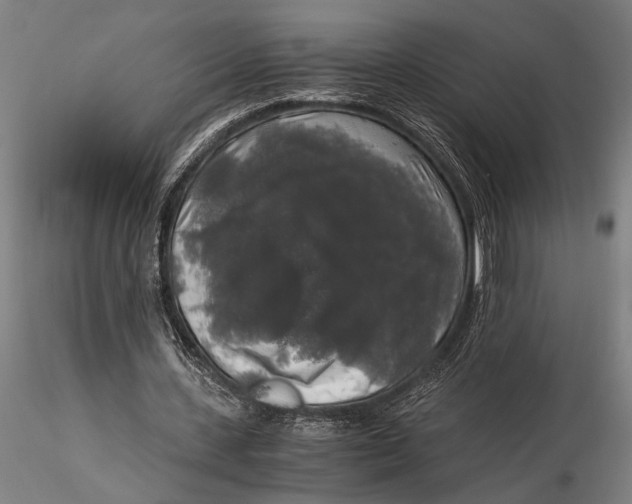 X0000116050531200912111506