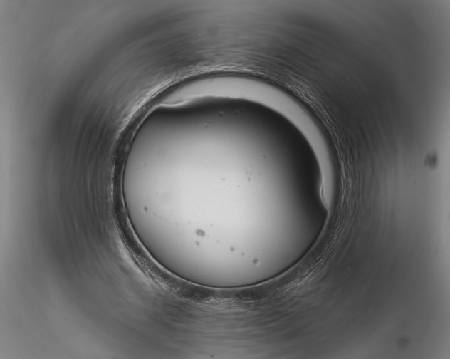 X0000116050534200912111506
