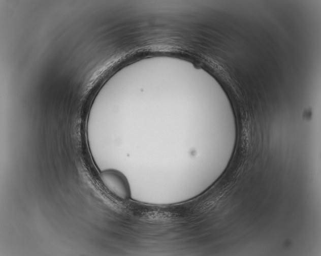 X0000116050535200912111506