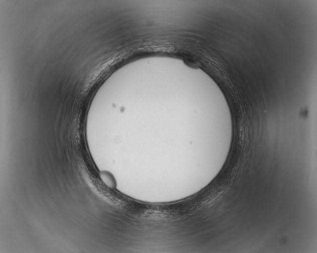 X0000116050538200912111506