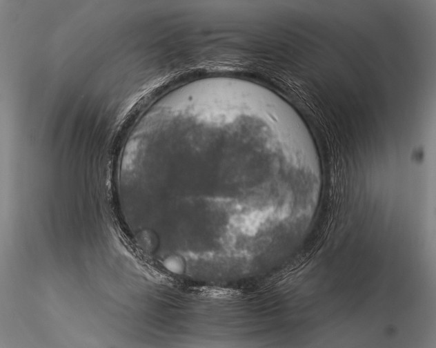 X0000116050539200912111506
