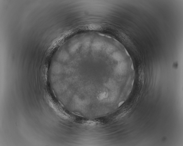 X0000116050542200912111506