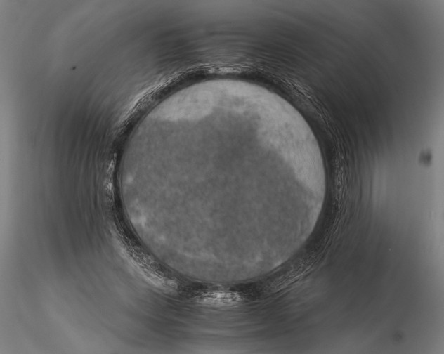 X0000116050543200912111506