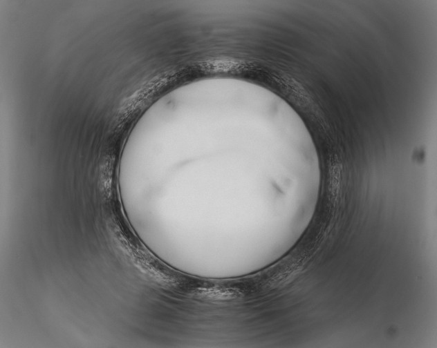 X0000116050545200912111506