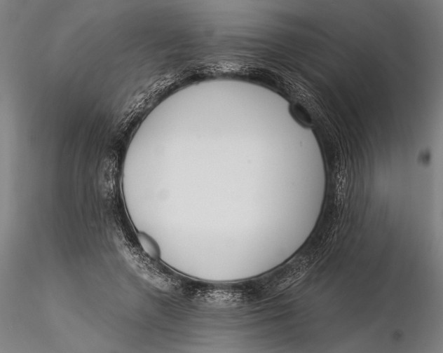 X0000116050546200912111506