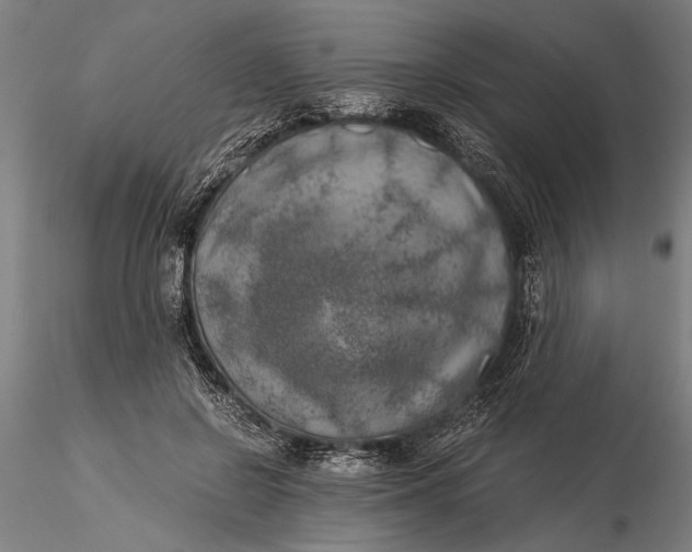 X0000116050550200912111506