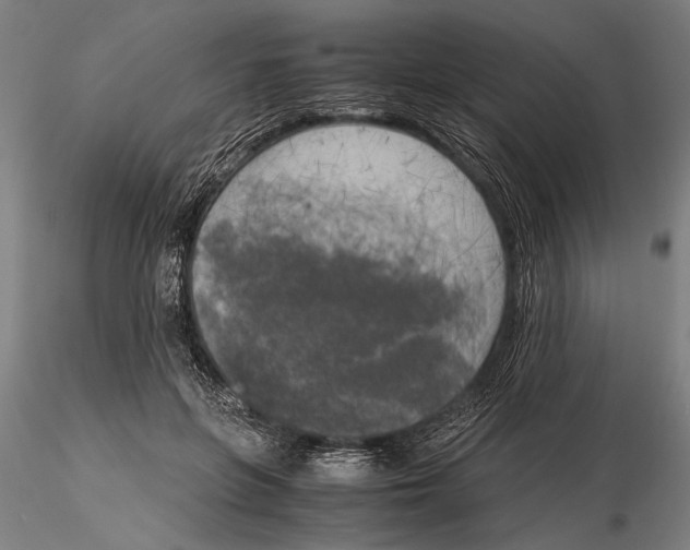 X0000116050551200912111506
