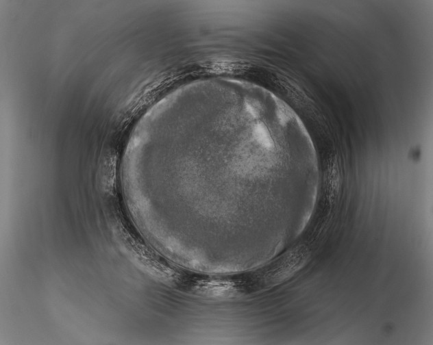X0000116050554200912111506