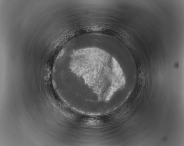 X0000116050555200912111506