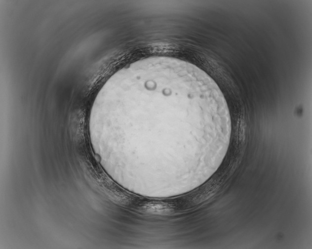 X0000116050557200912111506